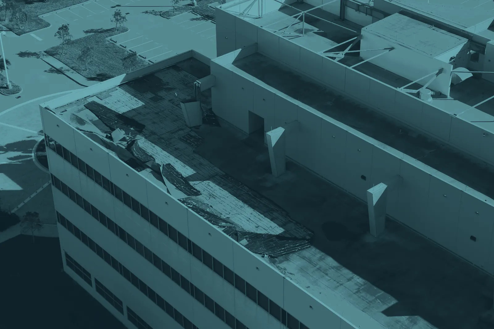 The flat roof of an office building with its membrane torn and rolled back, exposing the boards beneath